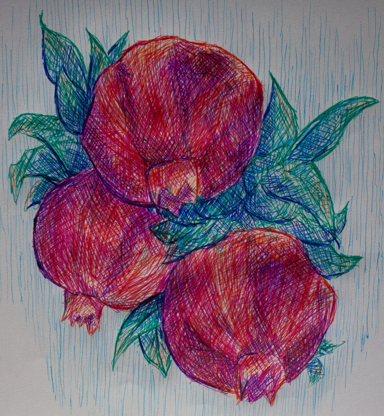 Poms 2026, Multi Colored Pens